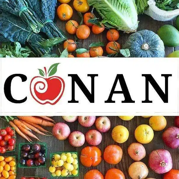 Logo utilizado pelo Congresso de Alimentação Natural - CONAN, o qual chega a sua 5 edição em 2019.