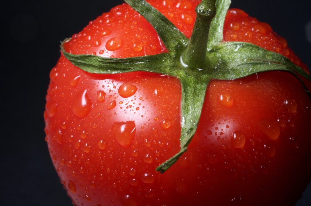 Itália busca Supremacia no Mercado de Tomates Enlatados no Brasil